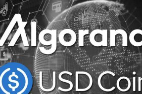 USDC稳定币将在多链框架中首次亮相Algorand的区块链