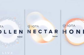 IOTA准备完全放权使用杀虫剂；为花粉，花蜜和蜂蜜树立里程碑