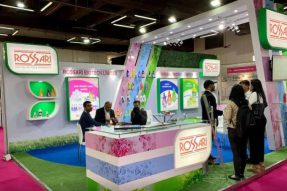 Rossari Biotech IPO首次公开募股：您应该投资吗？