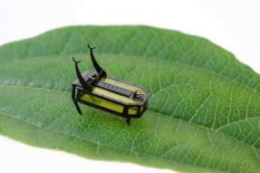 超越电池：科学家制造出甲醇动力的甲虫机器人