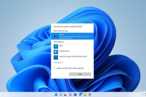 微软正在测试对Windows11上管理文件组件进行小的调整
