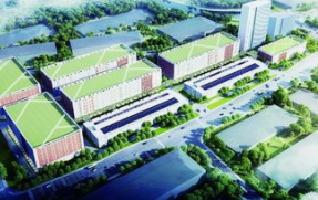 淡水河谷圣路易斯球团厂将到2024年获得天然气供应